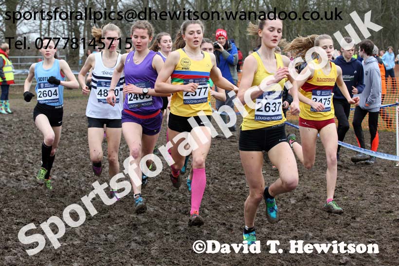 Womens under-20s Inter Counties Cross Country, Prestwold Hall, Loughborough. Photo: David T. Hewitson/Sports for All Pics
